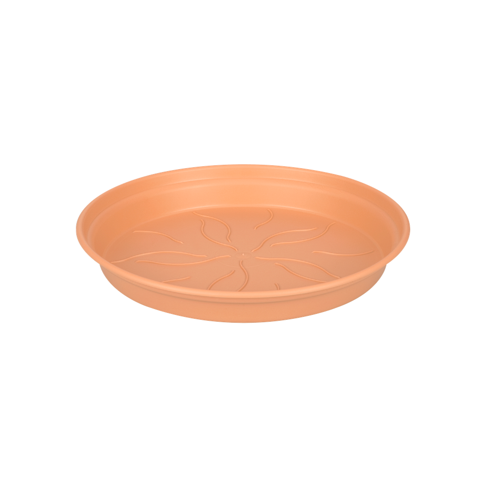 Green Basics Soucoupe 53