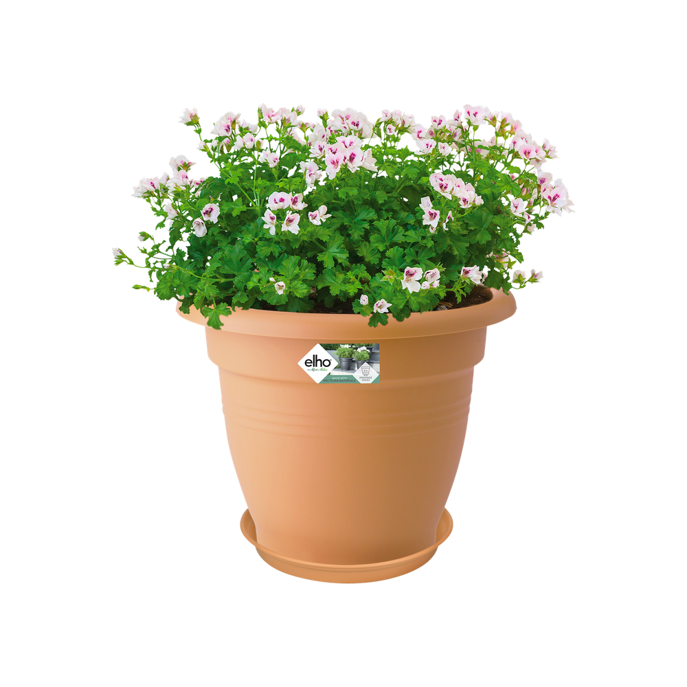 Green Basics Soucoupe 34