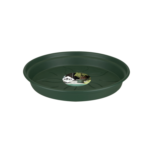 Green Basics Soucoupe 10