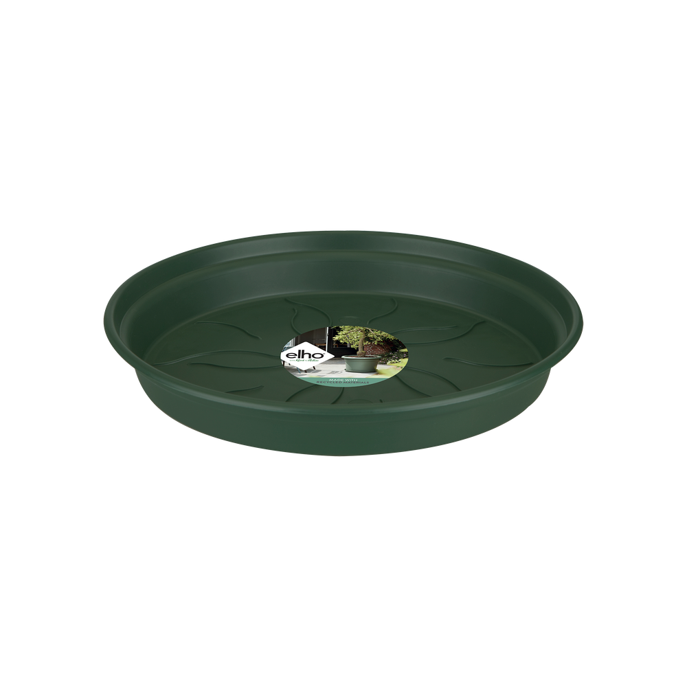 Green Basics Soucoupe 41