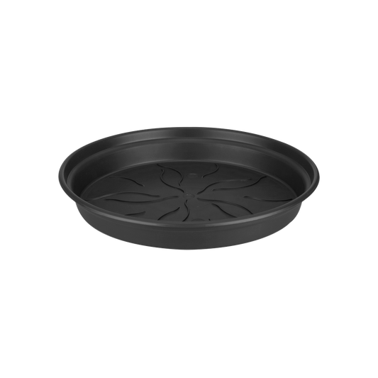 Green Basics Soucoupe 65