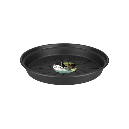 Green Basics Soucoupe 65
