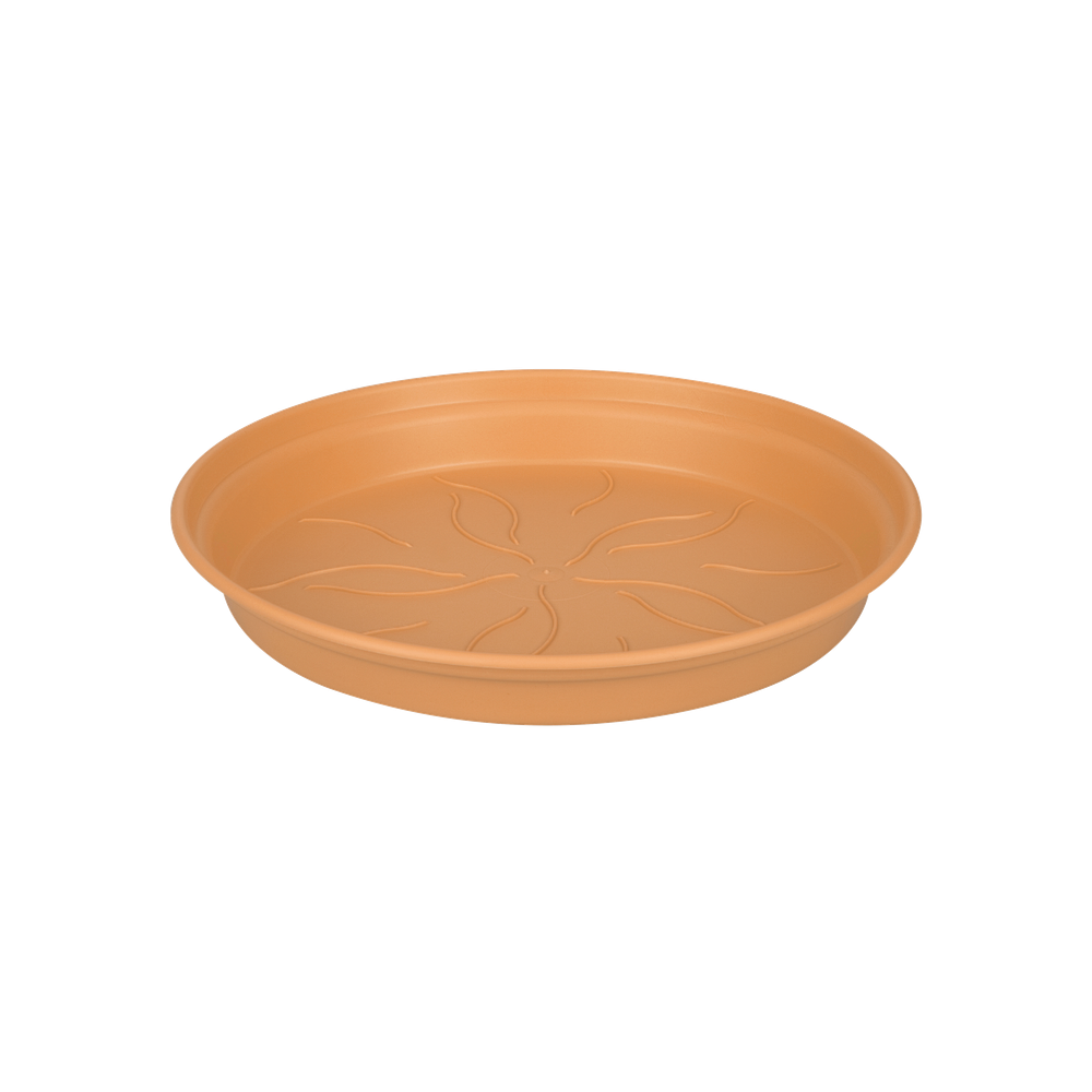 Green Basics Soucoupe 10