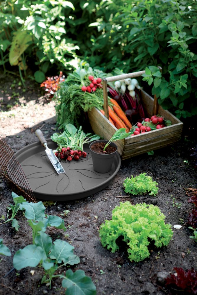 BNDL Gb Pot De Culture 17+ Souc. 14  X 5