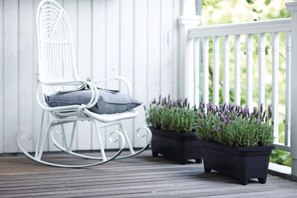 Green Basics Grand 60