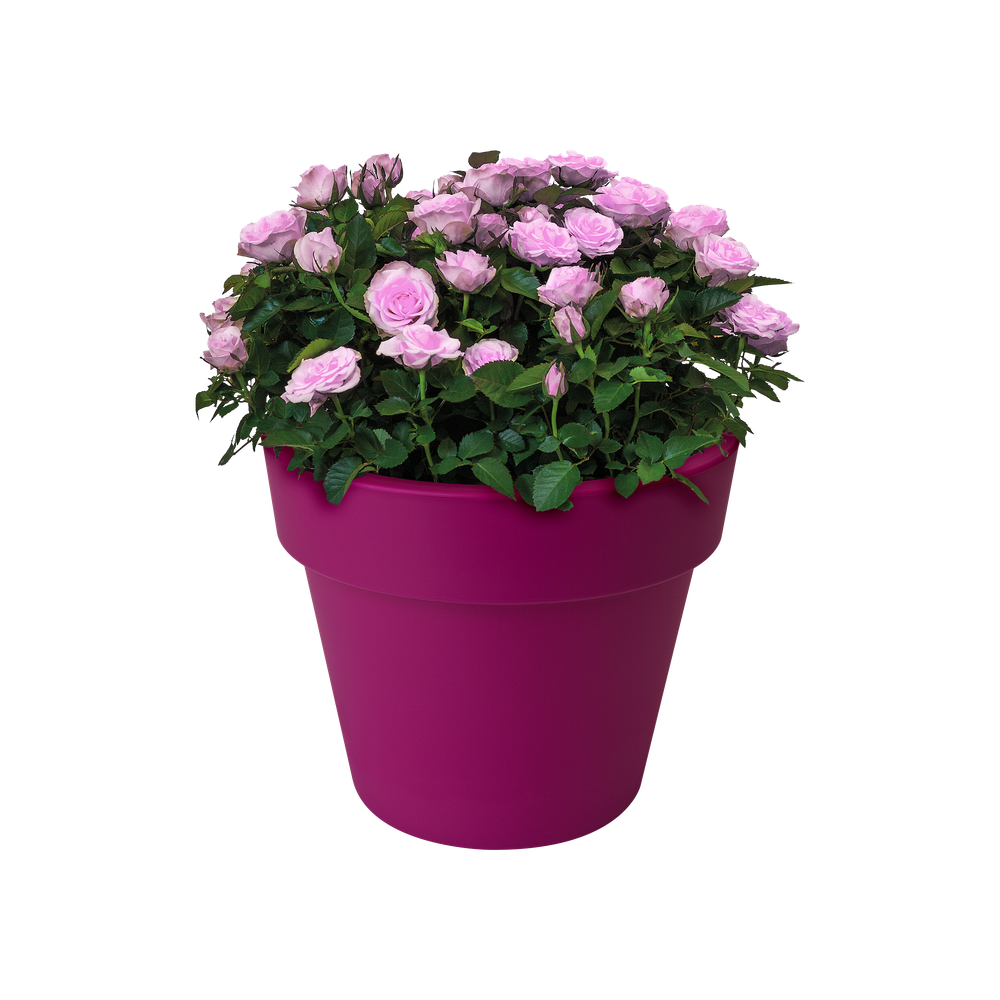 Green Basics Top Planter 30