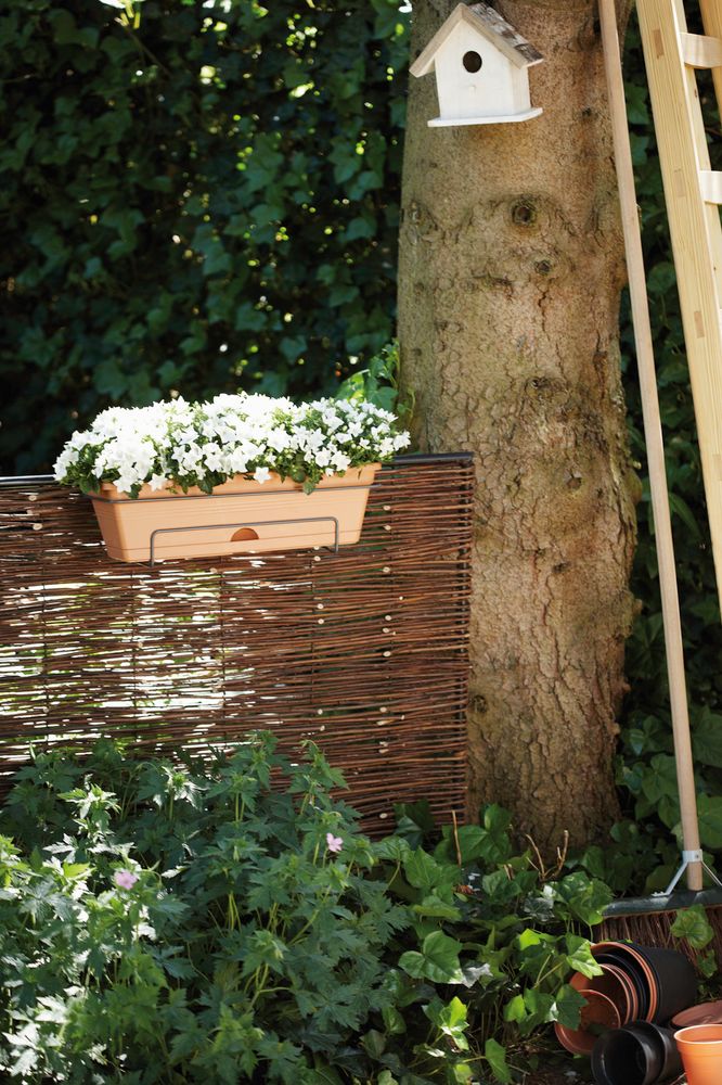 Green Basics Balconnière Allin1 50