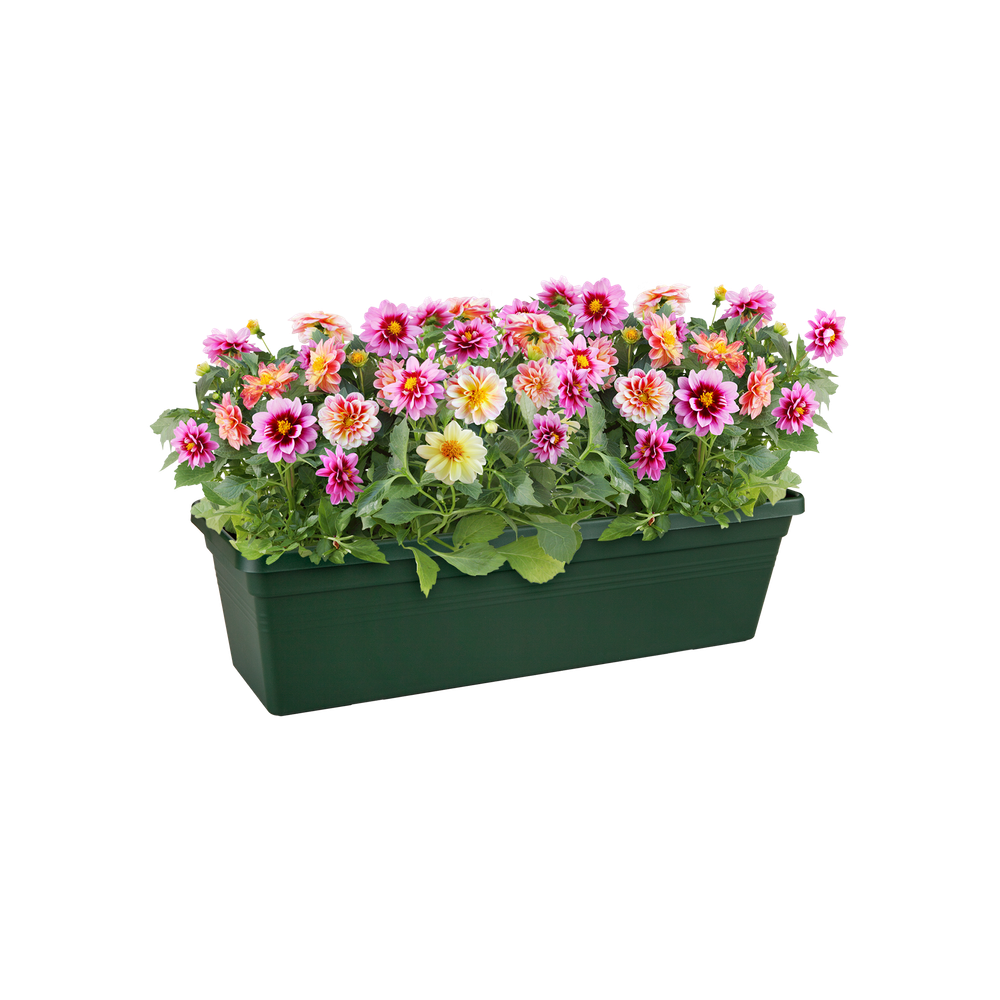 Green Basics Balconnière 40