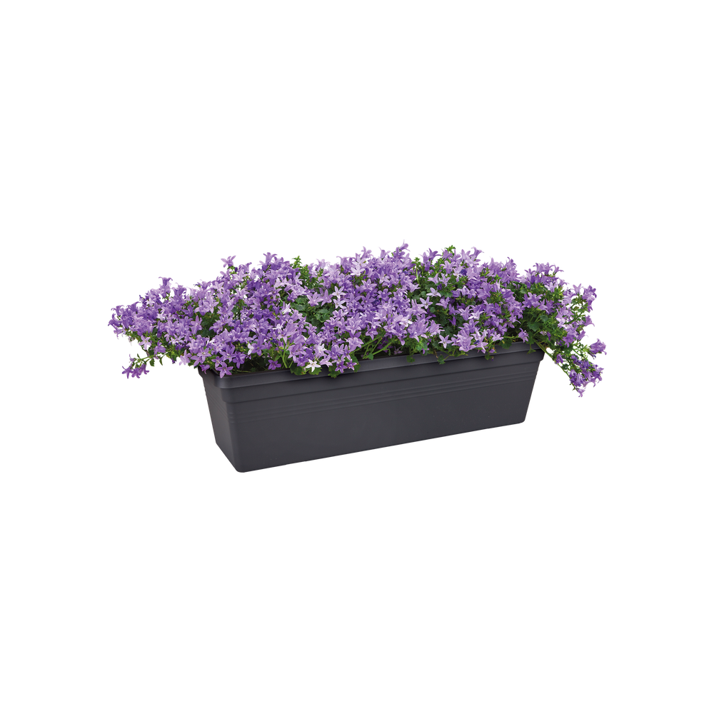 Green Basics Balconnière 50