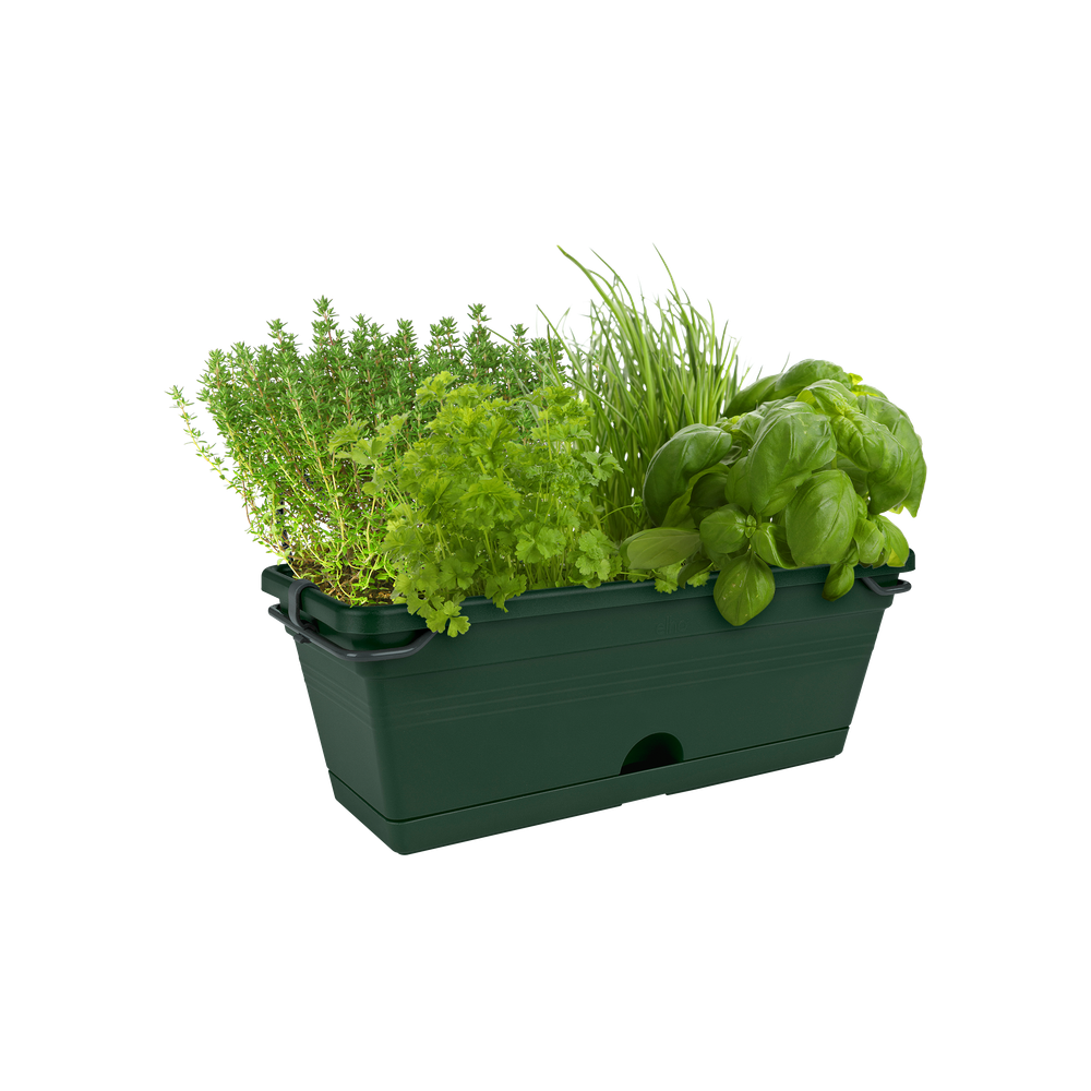 Green Basics Balcon Mini Allin1 30