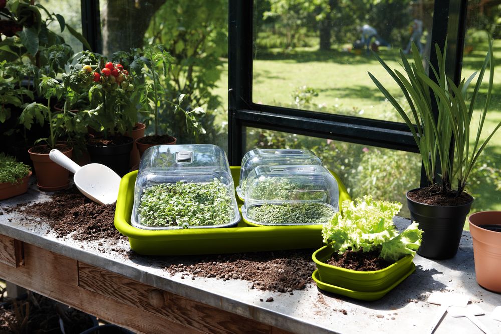 Green Basics Plateau Jardin 59