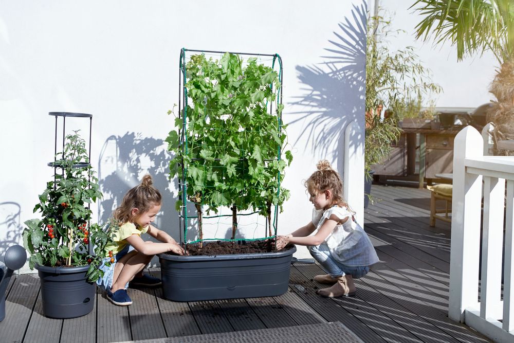 Green Basics Jardiniere Treillis 80