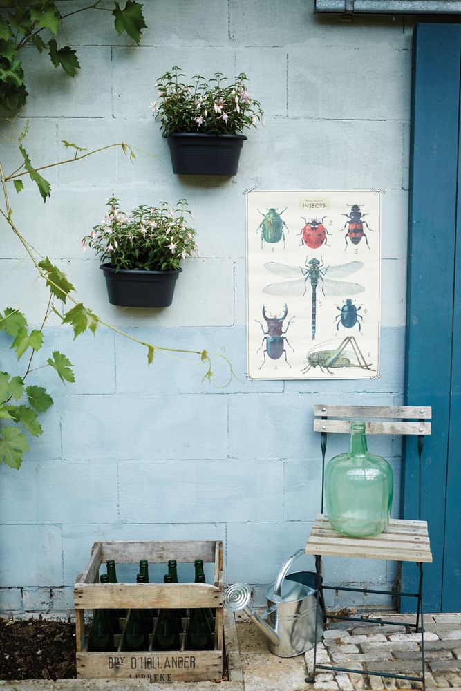 Green Basics Mural 30