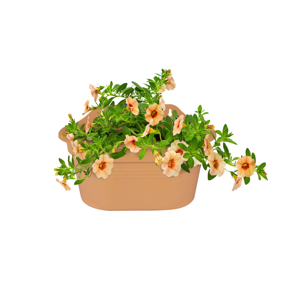 Green Basics Mural 30