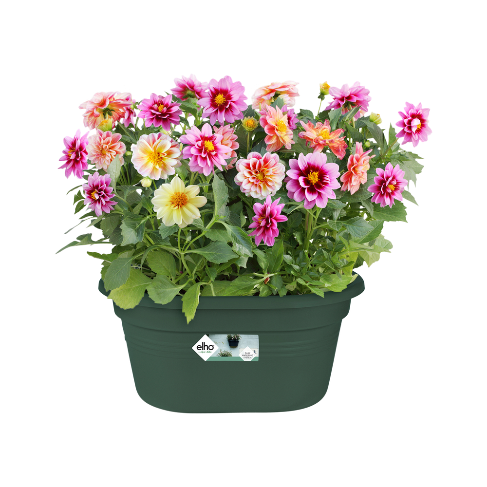 Green Basics Mural 30