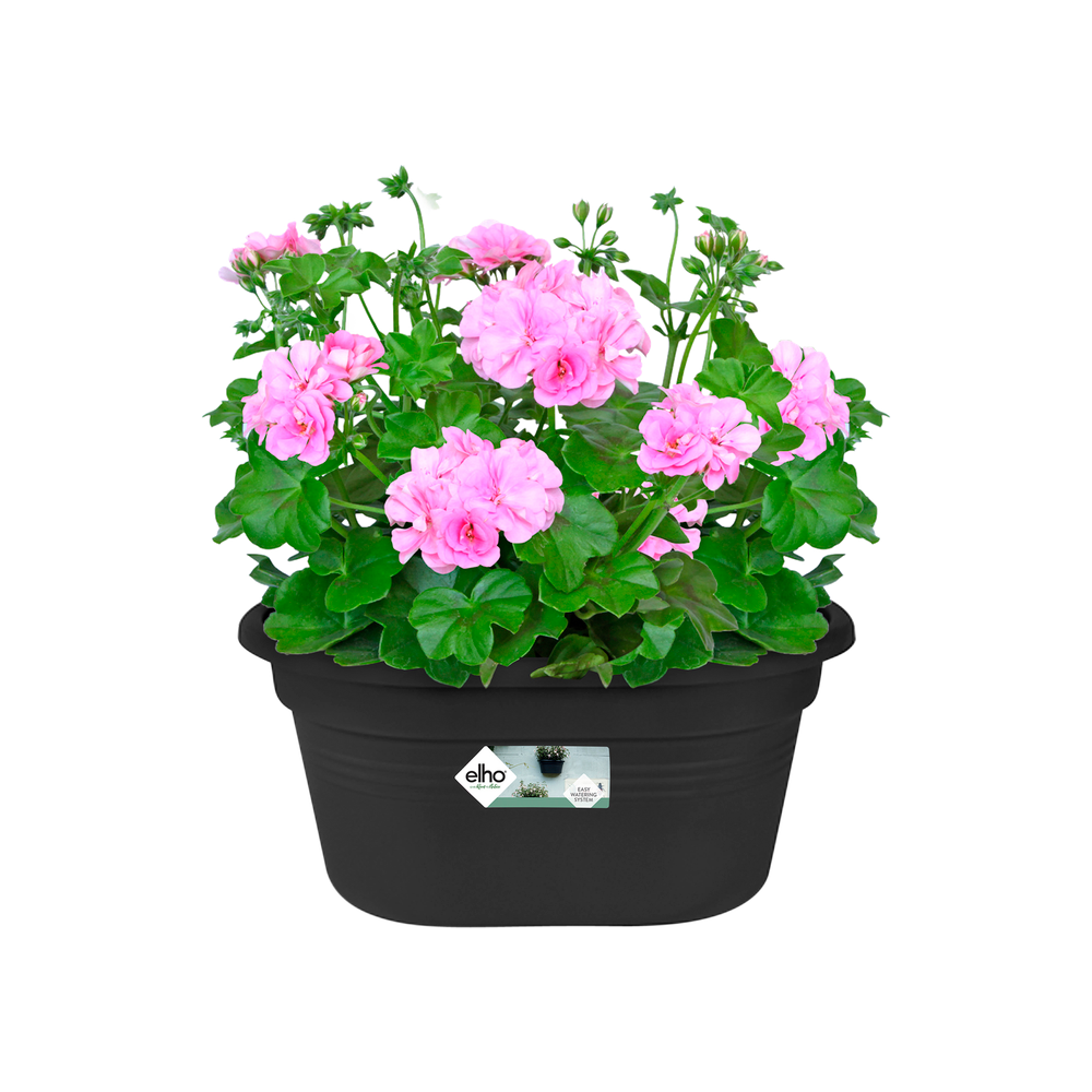 Green Basics Mural 30