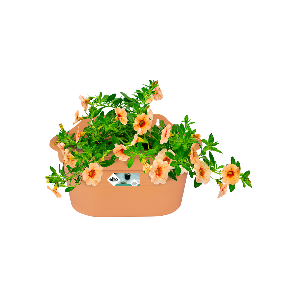 Green Basics Mural 30