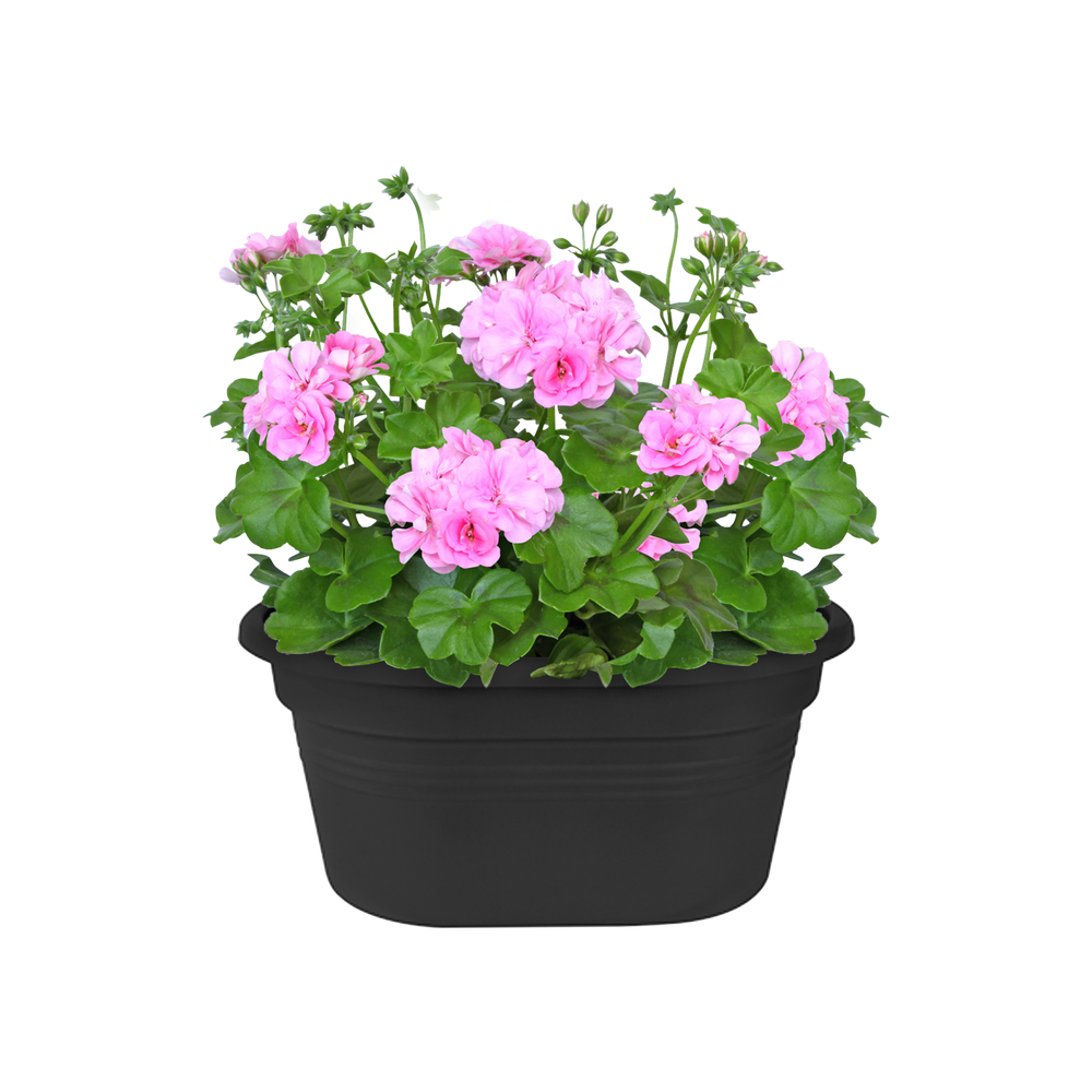 Green Basics Mural 30