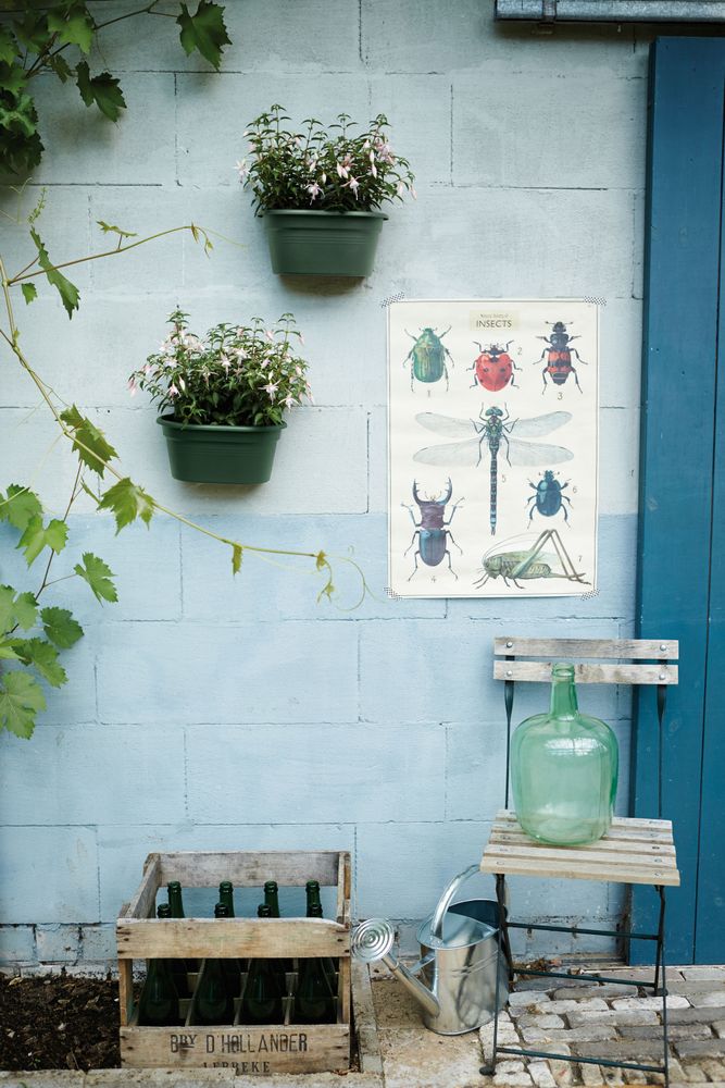 Green Basics Mural 30