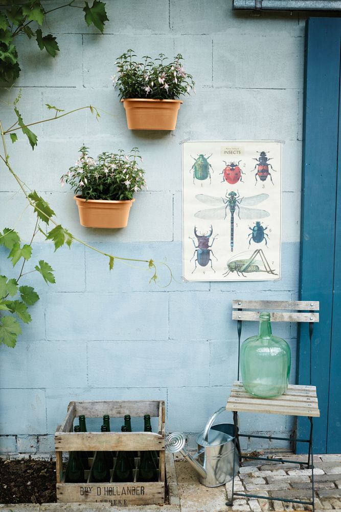 Green Basics Mural 30