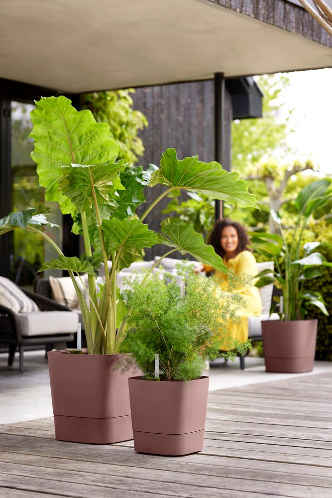 Greensense Aqua Care Carré 38