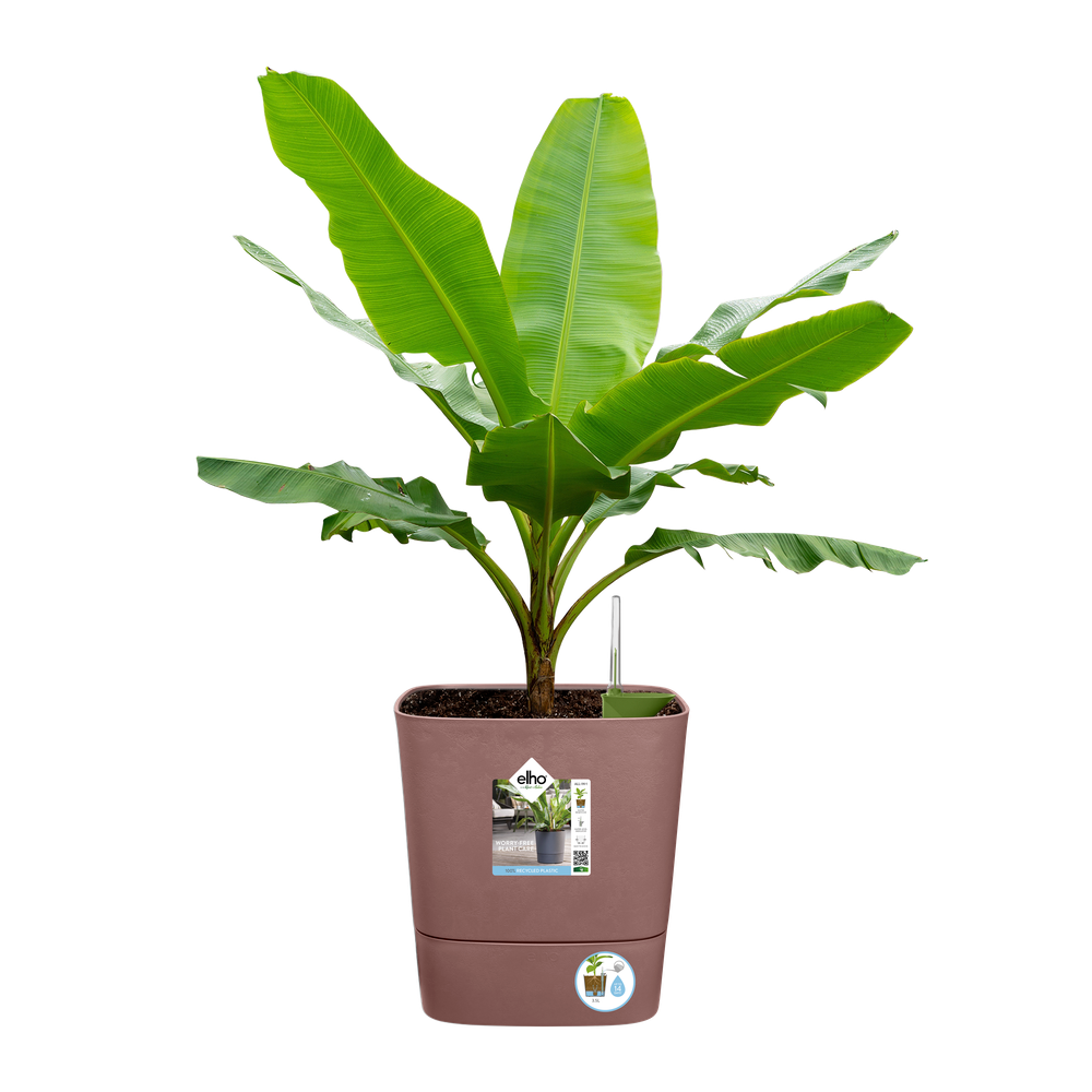 Greensense Aqua Care Carré 38