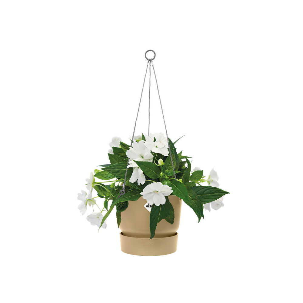 Greenville Suspension 24