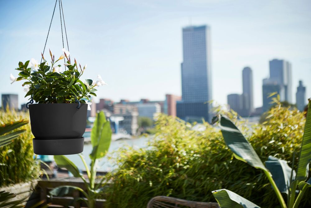 Greenville Suspension 24