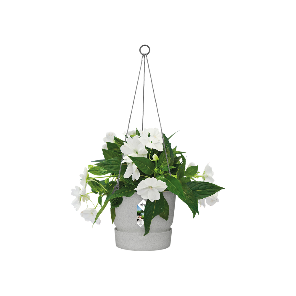 Greenville Suspension 24