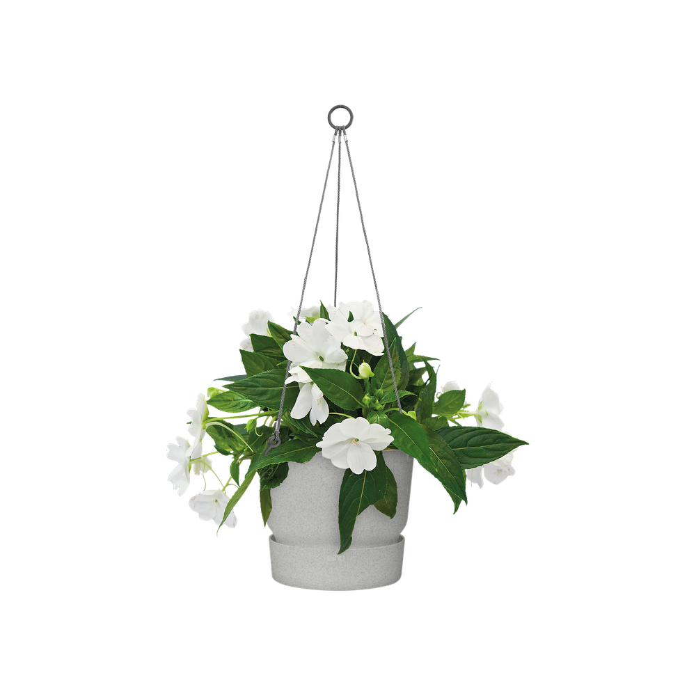 Greenville Suspension 24