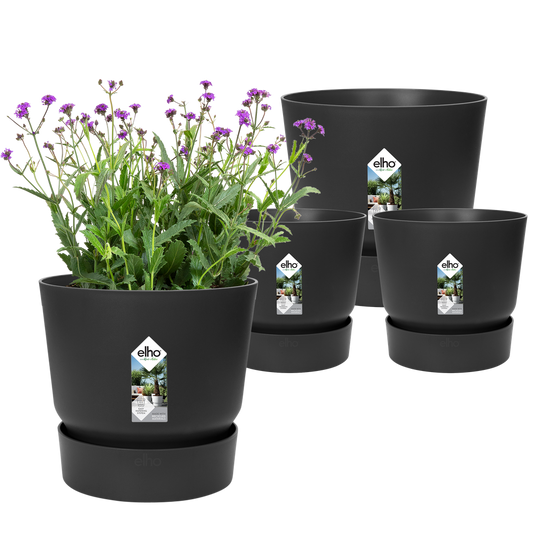 BNDL Greenville Rond 14, 16  X 2