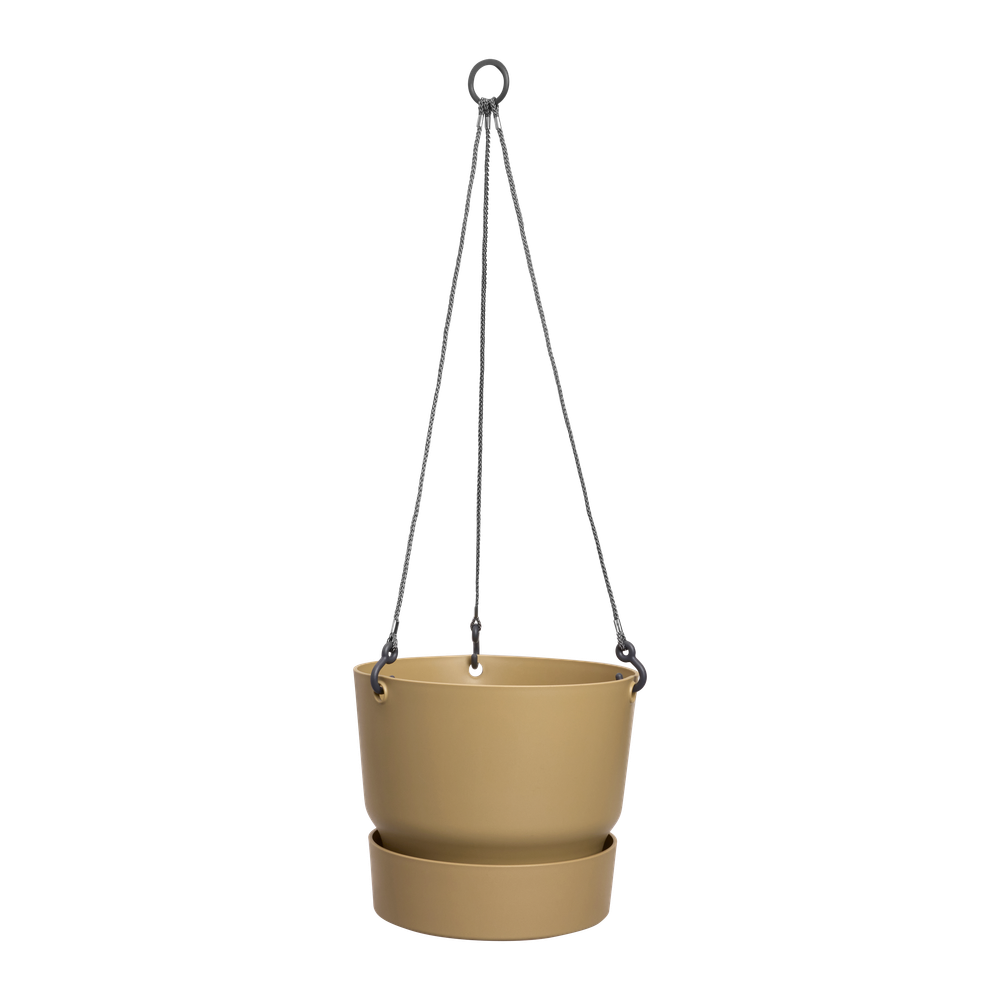 Greenville Suspension 24