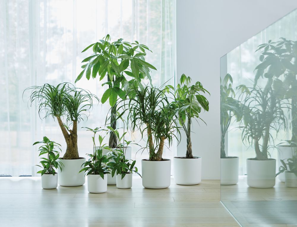 BNDL B.for Soft Ronde 14,16,18