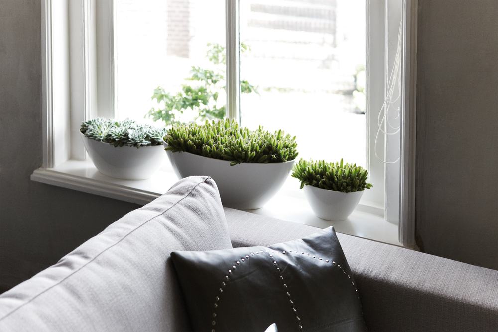 Brussels Diamond Ovale 46