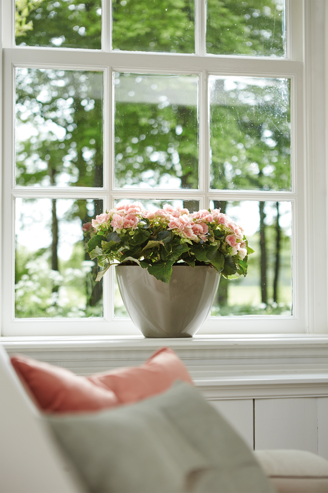 Brussels Diamond Ovale Haut 36