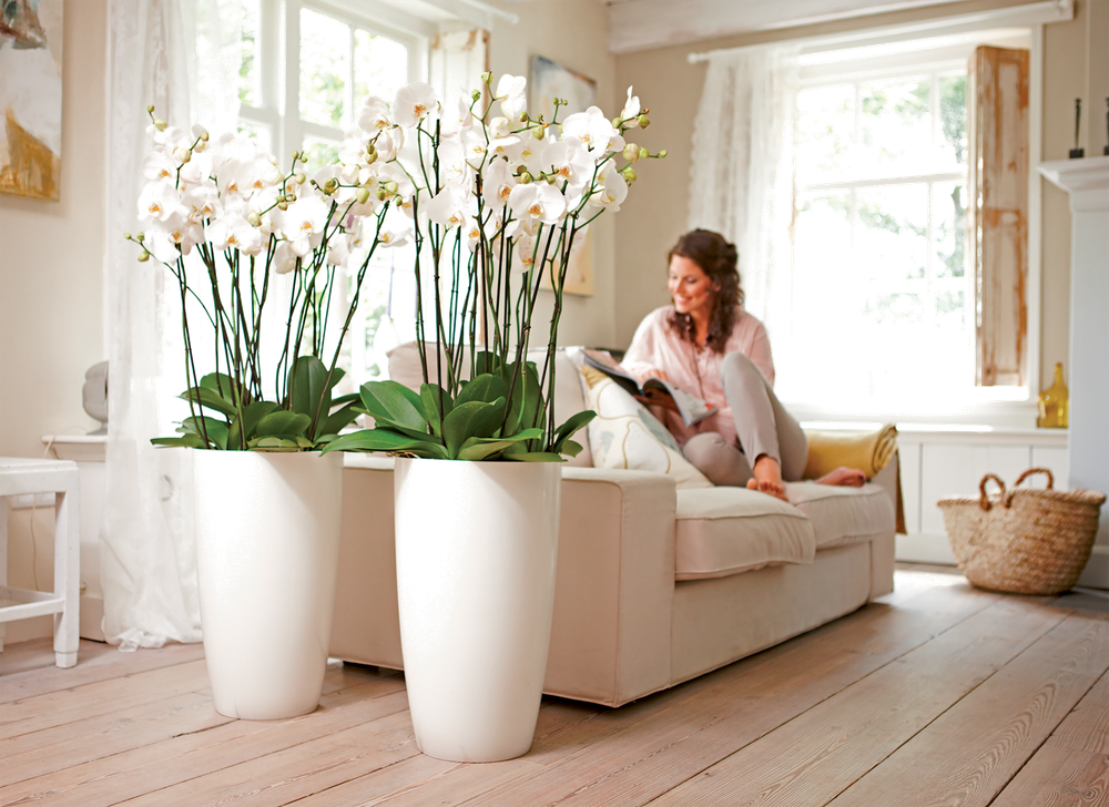 Brussels Diamond Rond Haut 32