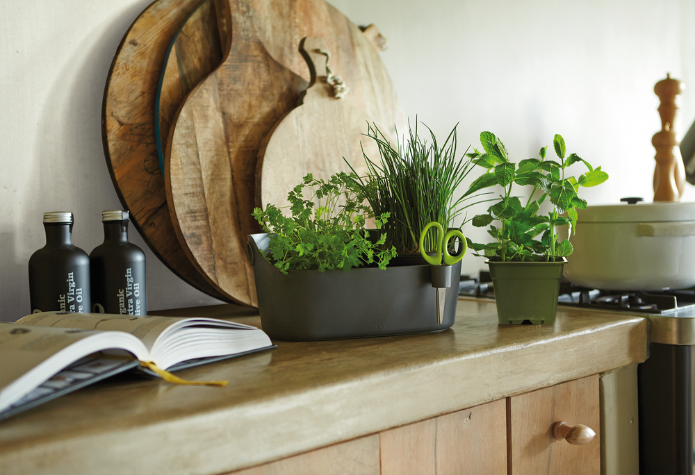 Brussels Herbes Station 30