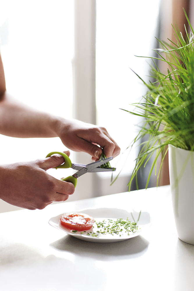 Brussels Herbes Station 30