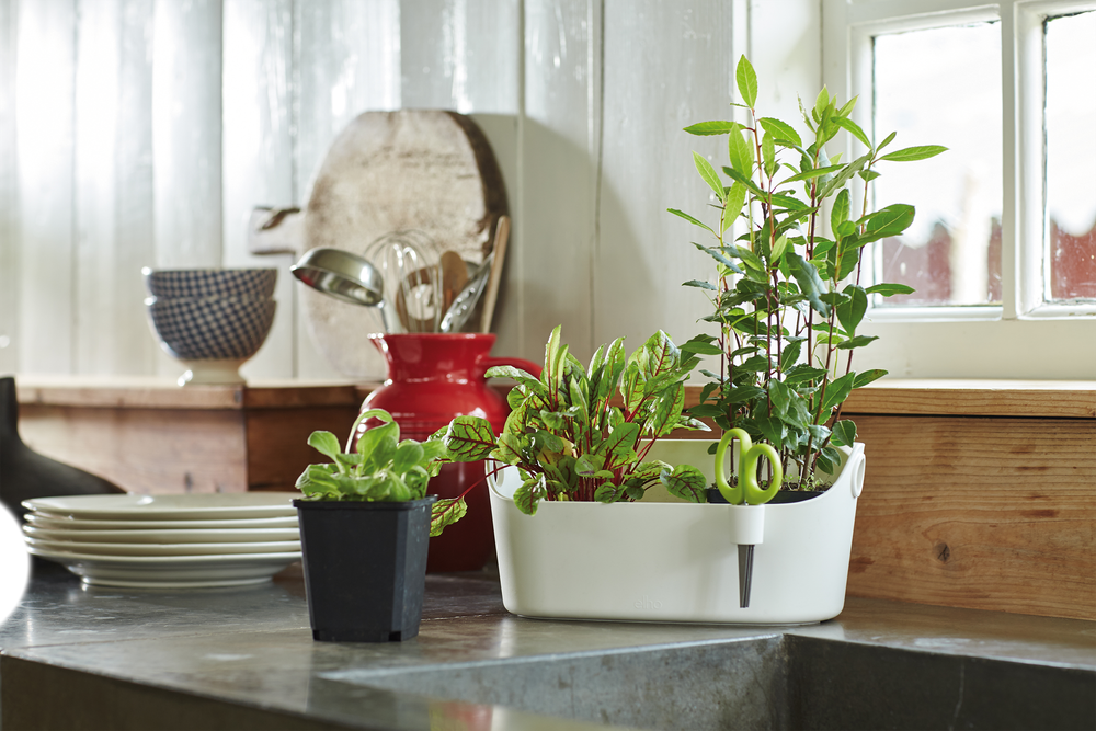 Brussels Herbes Station 30