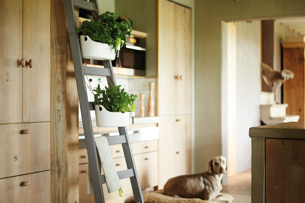 Brussels Herbes Station 30