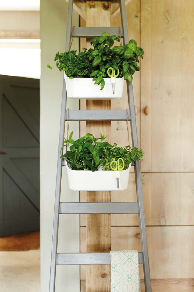 Brussels Herbes Station 30