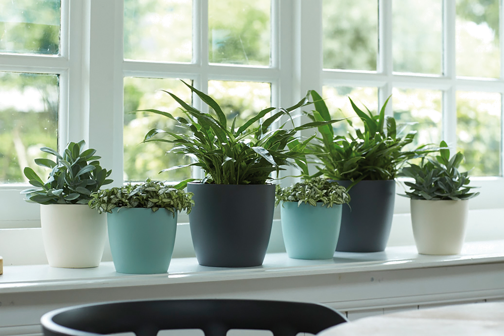 BNDL Brussels Ronde 25 X2