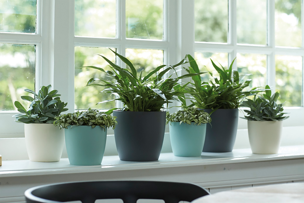 Brussels Rond Mini 12,5