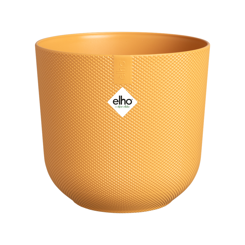Jazz Rond Mini 11
