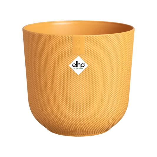 Jazz Rond Mini 11
