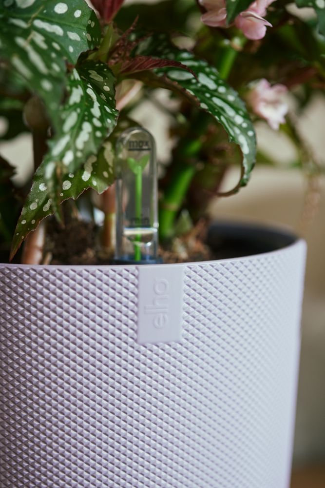 BNDL Jazz Rond 14,16,19