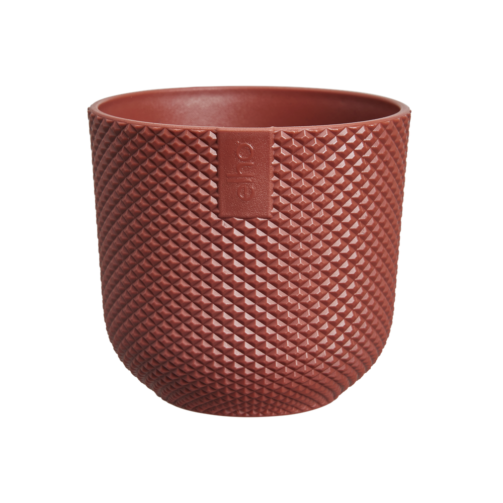 Jazz Rond Mini 7