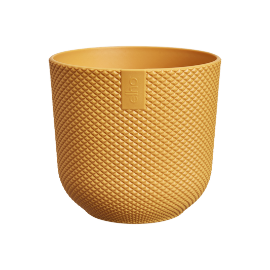 Jazz Rond Mini 11