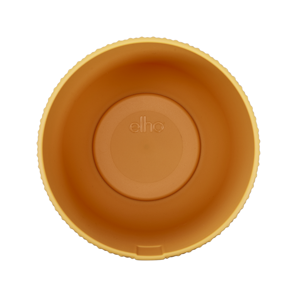 Jazz Rond Mini 11