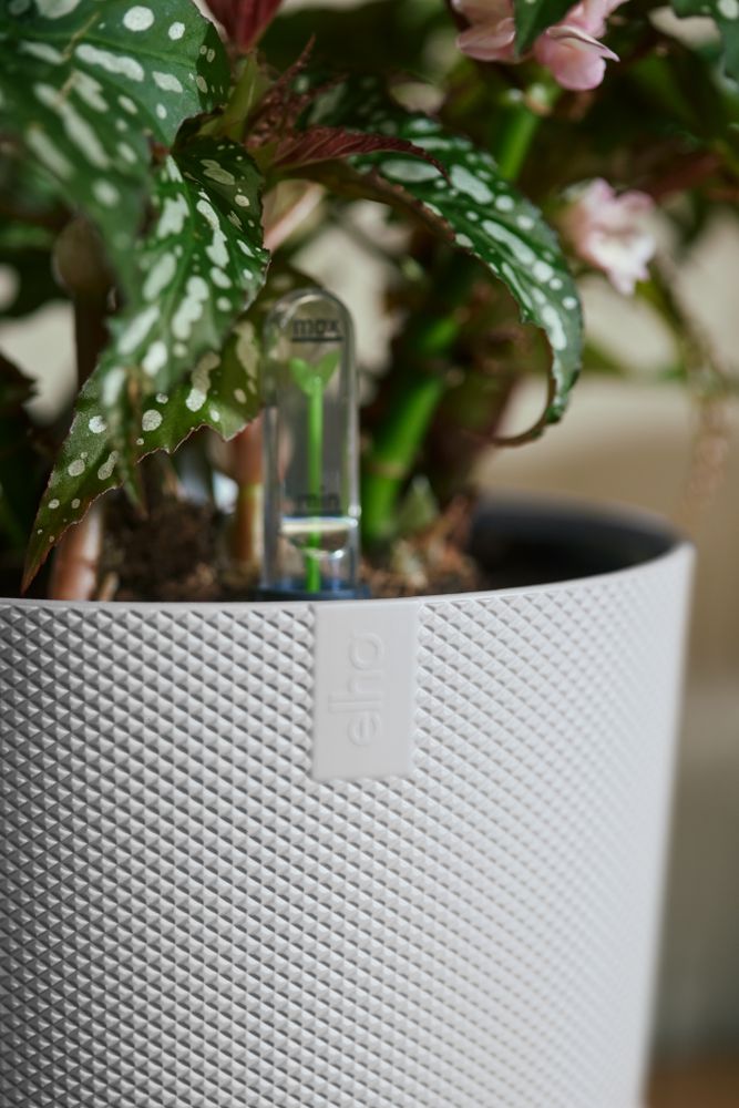 BNDL Jazz Rond 14,16,19